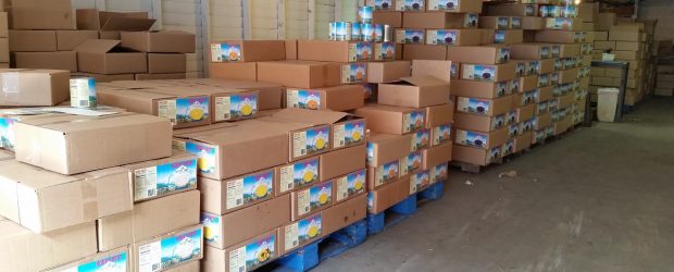 dropshipping od podstaw