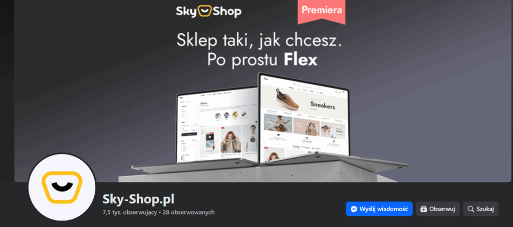 spójna identyfikacja wizualna na przykładzie Sky-Shop