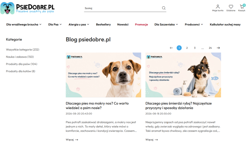 blog w sklepie internetowym działającym na Sky-Shop